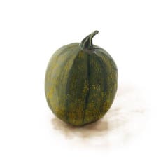 Fast könnte man die faustgrossen Gewächse mit Zucchetti verwechseln. Man sollte Rondini aber nicht roh essen. Ideal sind sie als Vorspeise: Die Rondini mit einer Gabel einstechen und 20 Minuten garen. Kurz abkühlen lassen, halbieren, etwas Butter und Salz drauf und auslöffeln. (Bild: Sandra Näf)