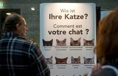 Natürlich gibt es auch viele Informationen zu den Haustieren. (Bild: Ralph Ribi)