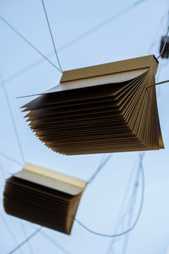 Bibliothek (Bild: Benjamin Manser)