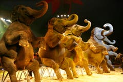 Ein Schnappschuss von einem Elefantenauftritt 2006 in Lausanne. (Bild: Keystone)
