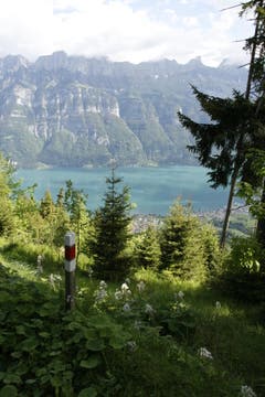 Manchmal gibt es keinen Baum oder Stein, der sich für eine Markierung eignet. Dann schlagen die Verantwortlichen einen Pfahl in den Boden. (Bild: Jolanda Riedener)