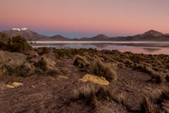 Im Hintergrund zeigt sich die Salzwürste des Salar de Surire in Putre, Chile. Schlauri fotografierte sie im Juli 2012. (Bild: Cyrill Schlauri)