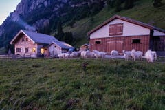 Die Alp Rainhütten nahe Brülisau. (Bild: Cyrill Schlauri)