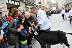 Bild: Ralph Ribi