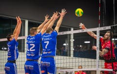 Volley Amriswil : Perugia Champions League Hinspiel (Bild: Andrea Stalder)