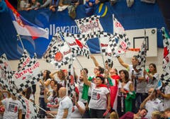Volley Amriswil : Perugia Champions League Hinspiel (Bild: Andrea Stalder)