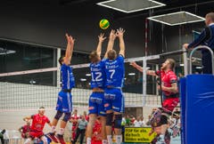 Volley Amriswil : Perugia Champions League Hinspiel (Bild: Andrea Stalder)