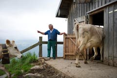 Die Kühe müssen in den Stall. (Bild: Urs Bucher)