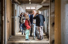 Versteigerung Alppferde Ulrich K. (Bild: Reto Martin)