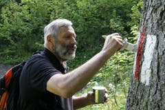 Bäume eignen sich gut für eine Markierung. (Bild: Jolanda Riedener)