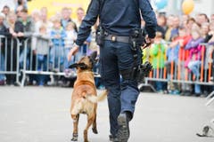 Polizeihunde-Vorführung an der Wega. (Bild: Donato Caspari)