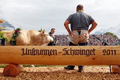 Um ihn ging es: Siegermuni Helveticus. (Bild: Keystone)