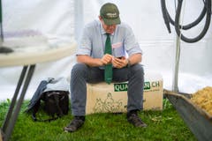 Highend Viehzucht Gant (Bild: Andrea Stalder)