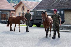 PFERD, PFERDE, KOMPETENZZENTRUM ARMEETIERE, VET D U A TIERE, TIERQUAELEREI, PFERDEZUCHT, BAUERNHOF ULRICH K., PFERDEHAENDLER ULRICH K., VERKAUF DER PFERDE, PFERDEVERKAUF, (Bild: Keystone)