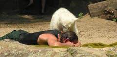 Knut liess auch die Kassen klingeln... (Bild: Umberto W. Ferrari)