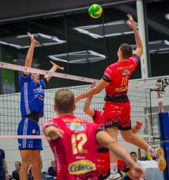 Volley Amriswil : Perugia Champions League Hinspiel (Bild: Andrea Stalder)