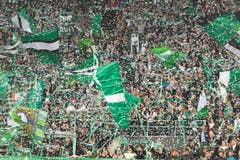 Grossartige Stimmung bei den FCSG-Fans. (Bild: Michel Canonica)