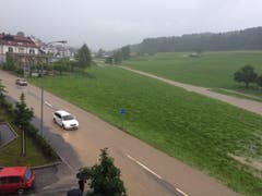 Bild: Philipp Haag