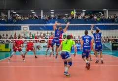 Volley Amriswil : Perugia Champions League Hinspiel (Bild: Andrea Stalder)