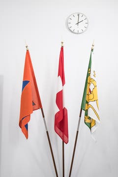 Die Flaggen des Zivilschutzes, der Schweiz und des Thurgaus. (Bild: Thi My Lien Nguyen)