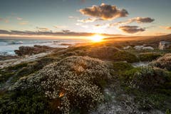 Kap der guten Hoffnung nahe der Südspitze Afrikas. (Bild: Cyrill Schlauri)