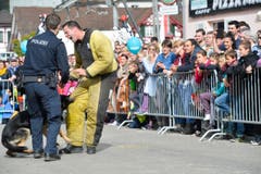 Polizeihunde-Vorführung an der Wega. (Bild: Donato Caspari)