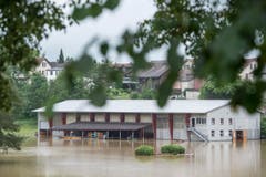 Die überschwemmte Reitwiese in Wil. (Bild: Hanspeter Schiess)