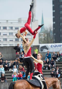 St. Gallen - OFFA Frühlingsmesse Freitzeit- und Sportmesse und Pferdemesse Besucher bei oder in der Arene bei der Darbietung der Pferdevoltiiererinnen (Bild: Ralph Ribi)