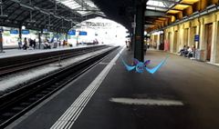 Ein wildes Zubat auf Gleis 1 am Bahnhof St.Gallen. (Bild: Screenshot)