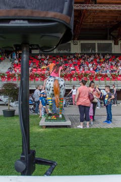 St. Gallen, CSIO Kindernachmittag im Espenmoorstadion (Bild: Jil Lohse)