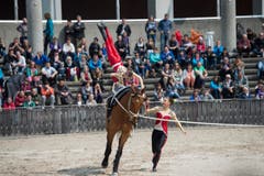 St. Gallen - OFFA Frühlingsmesse Freitzeit- und Sportmesse und Pferdemesse Besucher bei oder in der Arene bei der Darbietung der Pferdevoltiiererinnen (Bild: Ralph Ribi)