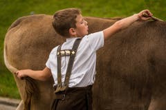 Alpabfahrt bei Urnäsch. (Bild: Cyrill Schlauri)