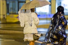 Frauenfeld TG , 15.01.2018 / Bechtelisnacht in der Innenstadt von Frauenfeld (Bild: Donato Caspari)