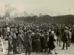 Juden aus der Karpatenukraine 1944 werden bei ihrer Ankunft in Auschwitz-Birkenau auf der sogenannten "Rampe" selektioniert: Schwache, Alte und Kranke werden von den Arbeitsfähigen getrennt. (Bild: Keystone)