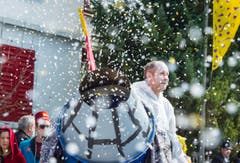 Groppenfasnacht Ermatingen 2017 (Bild: Andrea Stalder)