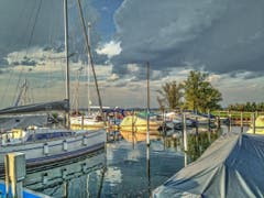 Am Bodensee. (Bild: Toni Sieber)