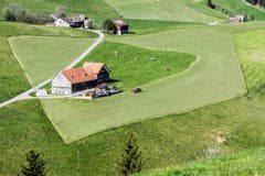 Warum in die Ferne schweifen, wenn das Gute so nah liegt? Unsere Bauern scheinen dabei auch einen Sinn für Kunst zu haben. Hier ein Beispiel am Fusse der Hundwilerhöhe. (Bild: Hanspeter Schiess)