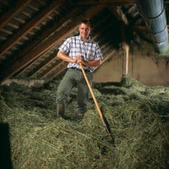 Über 20 Jahre später: Brunner im Heustock seines Hofes. Er ist nun Präsident der SVP Schweiz. (Bild: Keystone)
