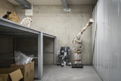 Stuhl und Strauss sicher verpackt - im Depot des neuen St.Galler Naturmuseums (10.11.2016). (Bild: Urs Bucher)