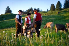Den Sommer verbringt Roland Bischof (links) auf der Alp Hoor oberhalb von Stein. (Bild: Urs Bucher)