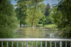 Hochwasser auf der Thur: In Uesslingen trat der Fluss bereits über die Ufer. (Bild: Reto Martin)