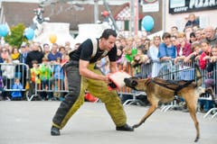 Polizeihunde-Vorführung an der Wega. (Bild: Donato Caspari)
