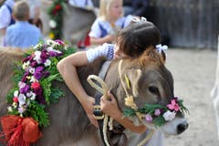 Eine dicke Umarmung gegen das Lampenfieber: Andrea mit ihrem Kalb. (Bild: Keystone)