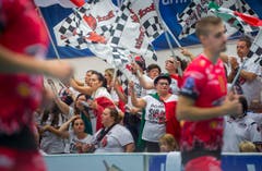 Volley Amriswil : Perugia Champions League Hinspiel (Bild: Andrea Stalder)
