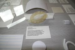 Textiles Herz, Empa: Ziel des Projekts ist es, ein komplett künstliches Herz herzustellen, wobei Textilien einen massgeblichen Beitrag liefern. (Quelle: Textilmuseum) (Bild: Johannes Wey)