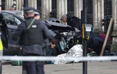 BRITAIN PARLIAMENT INCIDENT (Bild: Keystone)