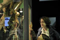 Auch die Schlangen vermochten die Besucherinnen und Besucher zu faszinieren. (Bild: Ralph Ribi)