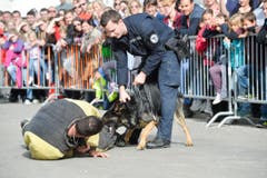 Polizeihunde-Vorführung an der Wega. (Bild: Donato Caspari)