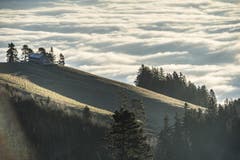 Wolken wogen wie Wellen über das Rheintal, aufgenommen auf dem St.Anton (30.12.2016). (Bild: Ralph Ribi)