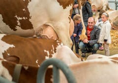 Wega 2015 (Bild: Reto Martin)